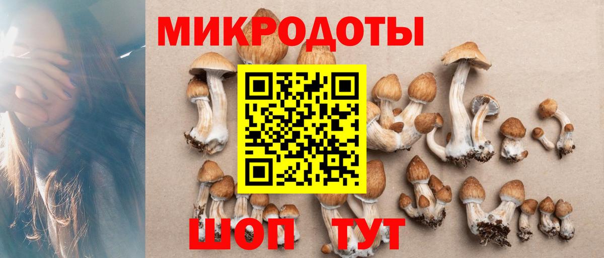 Псилоцибиновые грибы Magic Shrooms Кольчугино